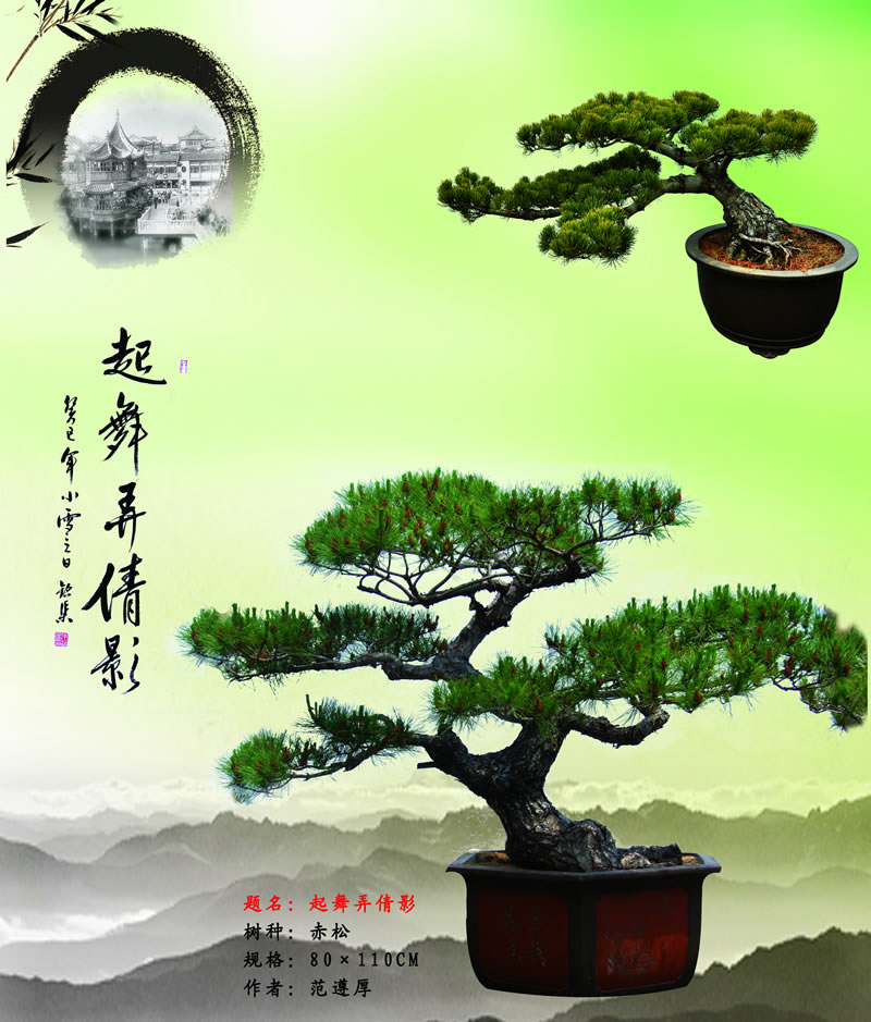 起舞弄倩影