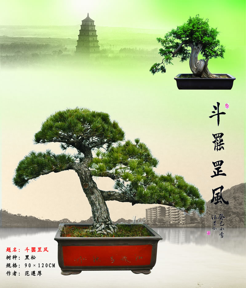 斗罷罡風(fēng)