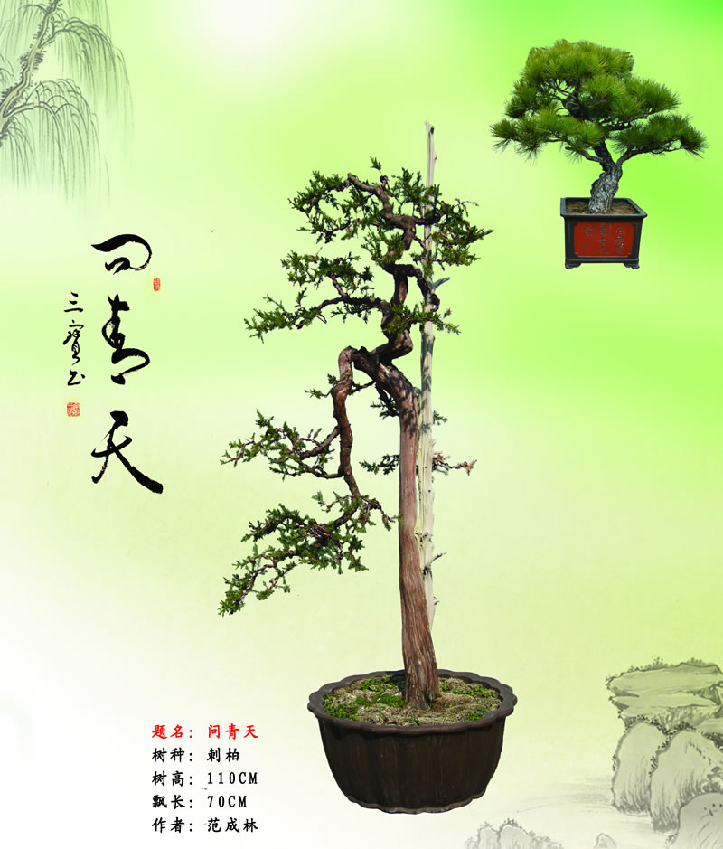 問(wèn)青天