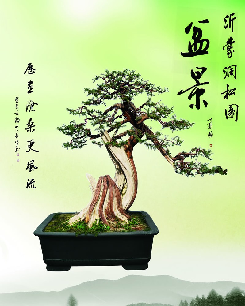 歷盡滄桑更風(fēng)流